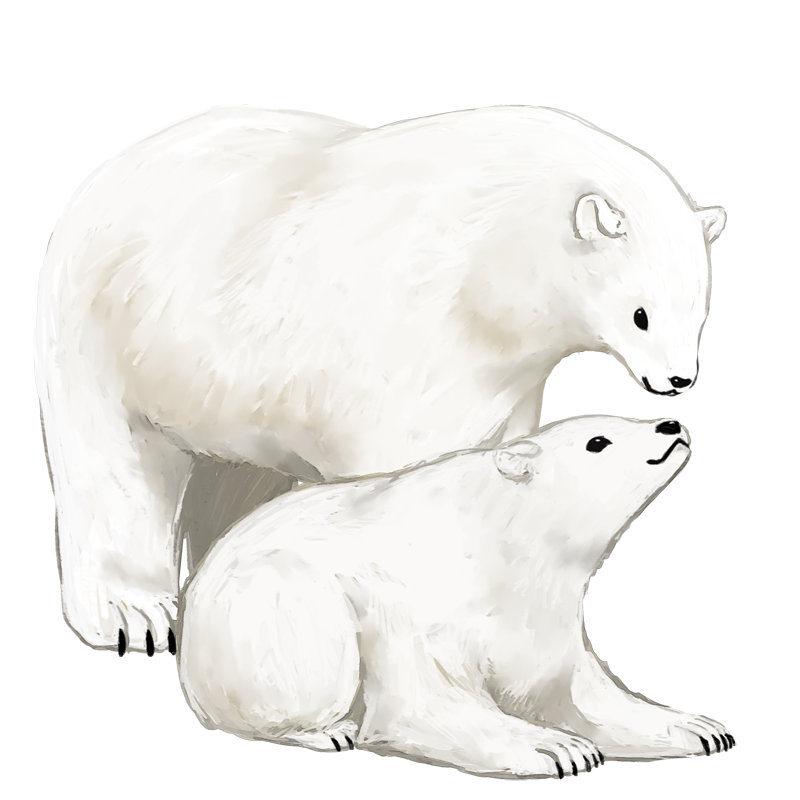 白熊グリフ（母）とヒース（仔）