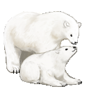 白熊グリフ（母）とヒース（仔）